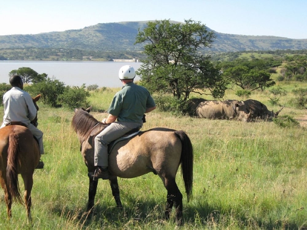 SpionKop Lodge