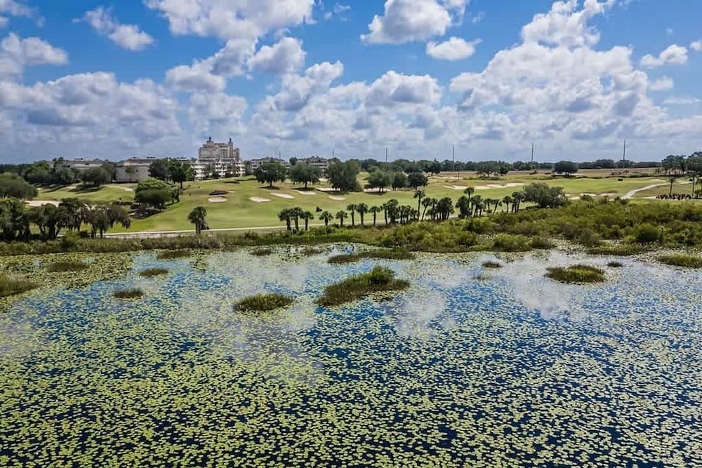 Magical House in Kissimmee