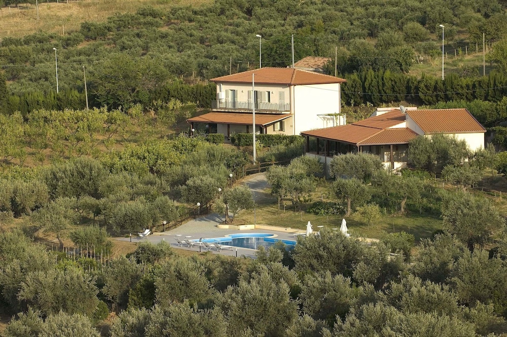 La Collina degli Ulivi - Casa Limoni 2