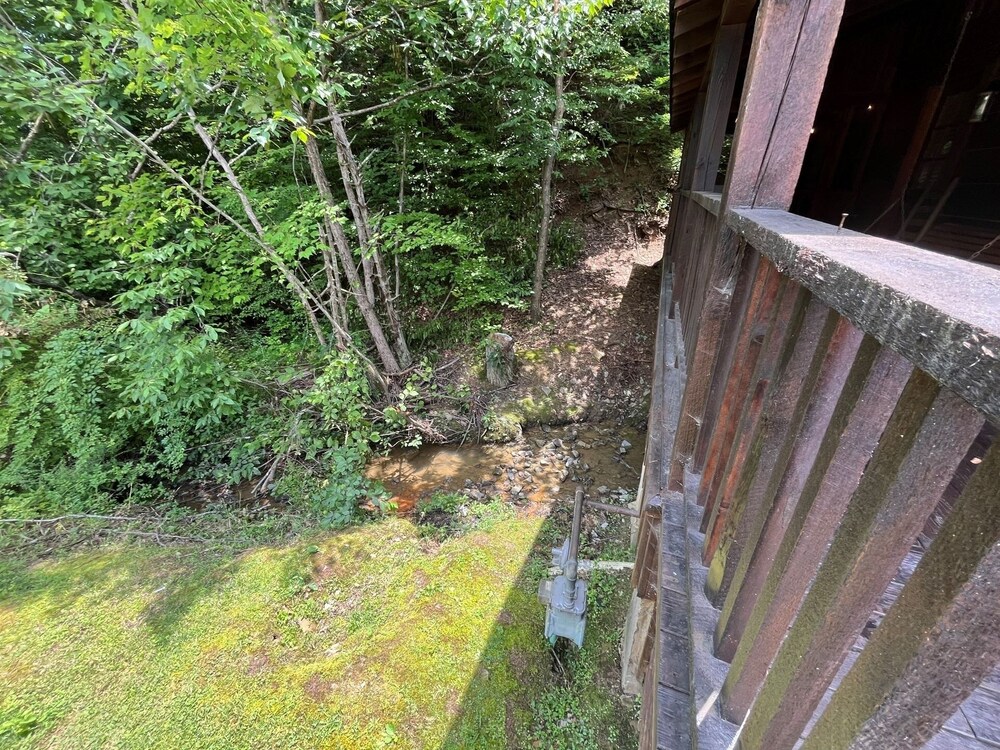 Photo 25