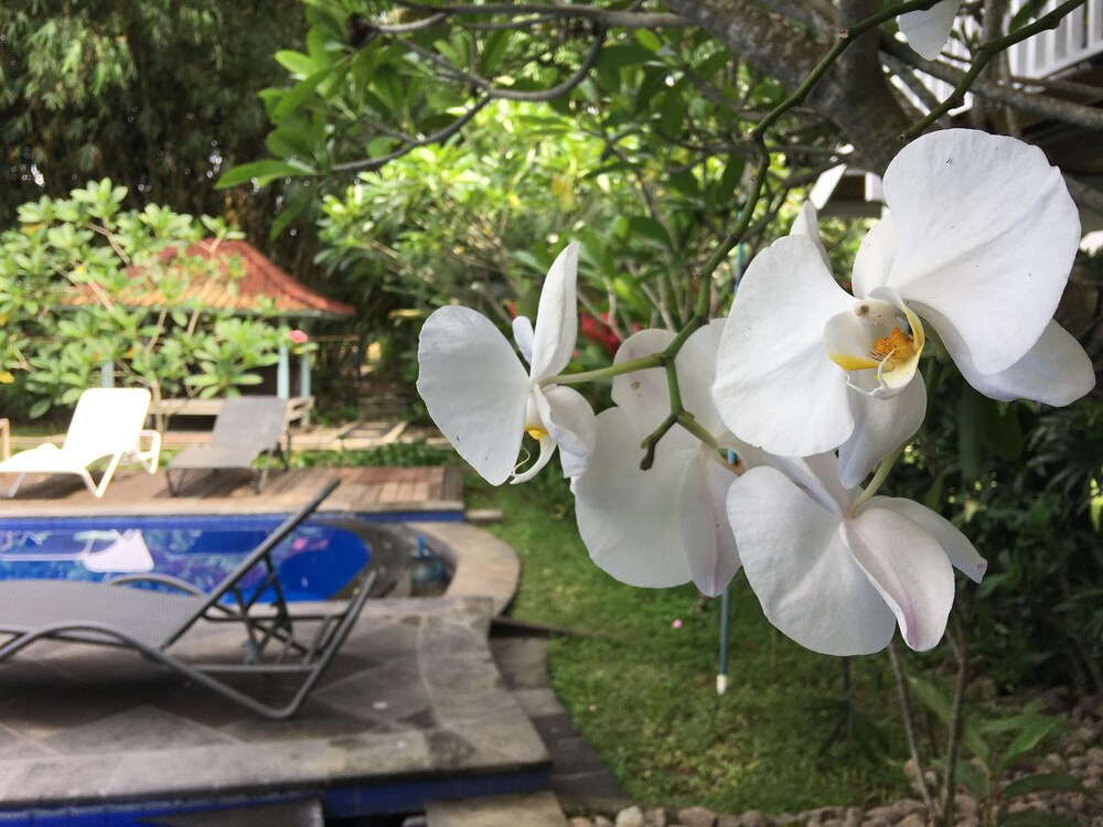 White Orchid Eco Resort