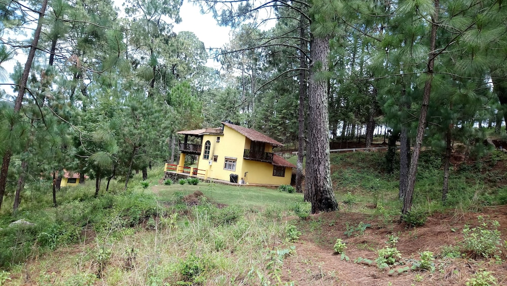Cabañas el Pinar