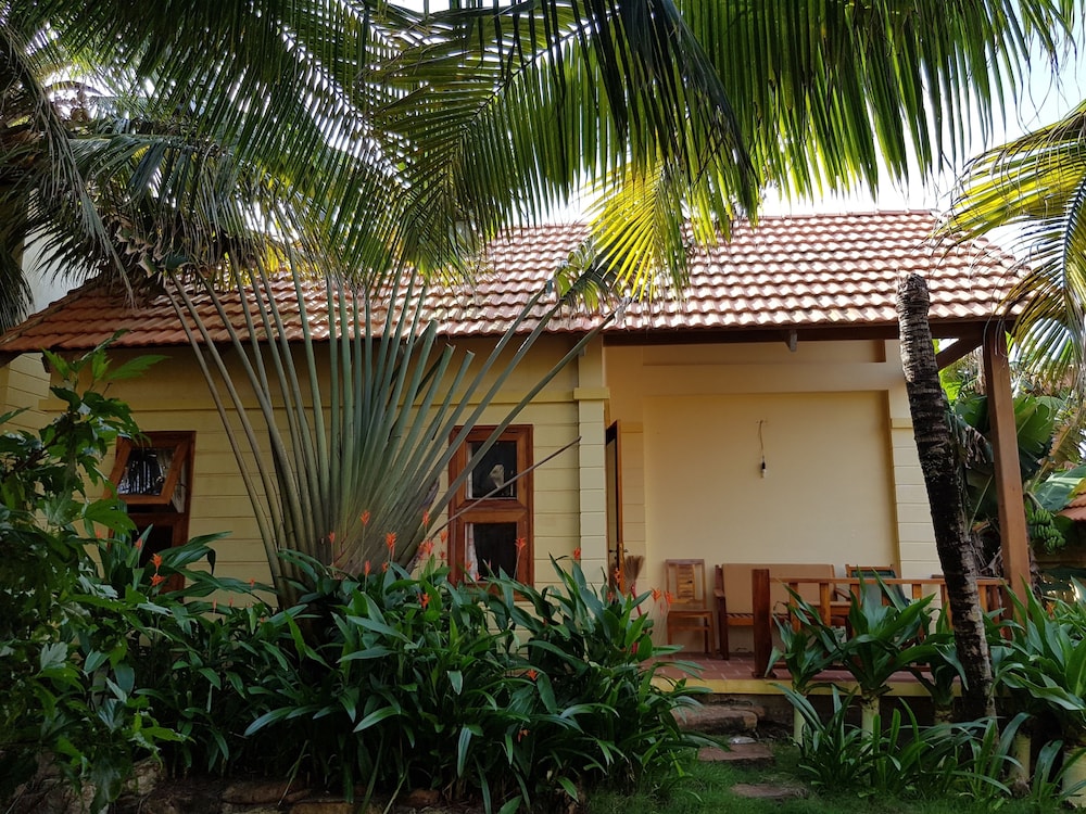 Free Beach Resort