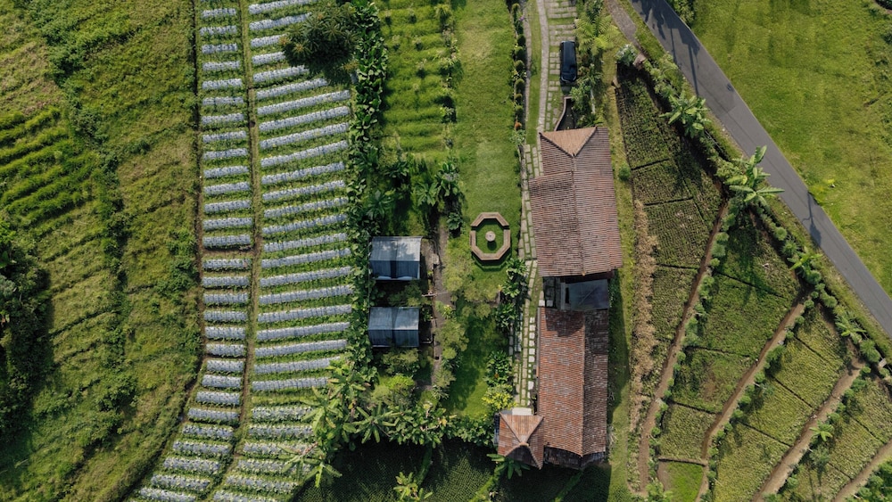 Jawa Dwipa Villa