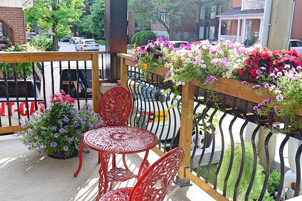 Ottawa Center 1 Bedroom Apartment near Bank St - Image 5