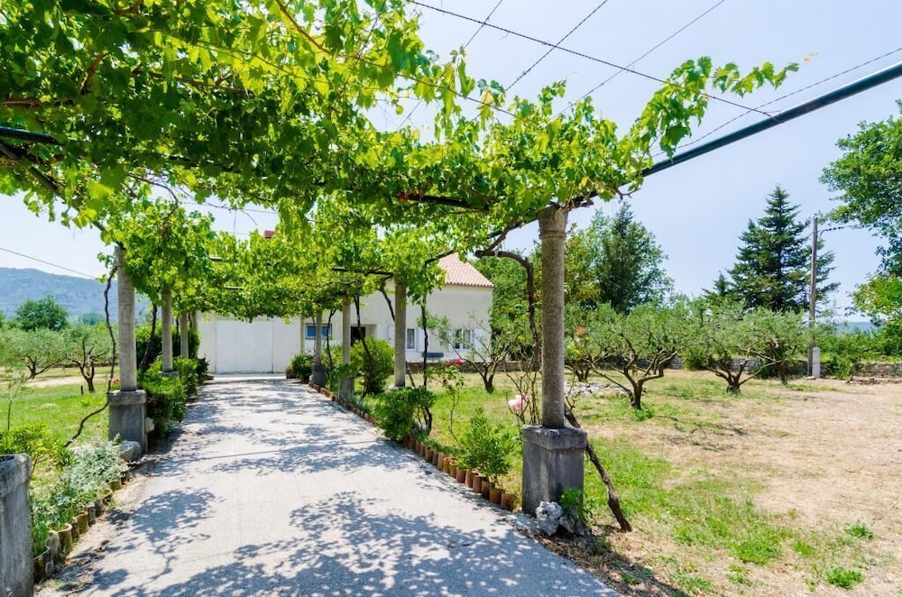 Holiday Home Field of Olives view 5