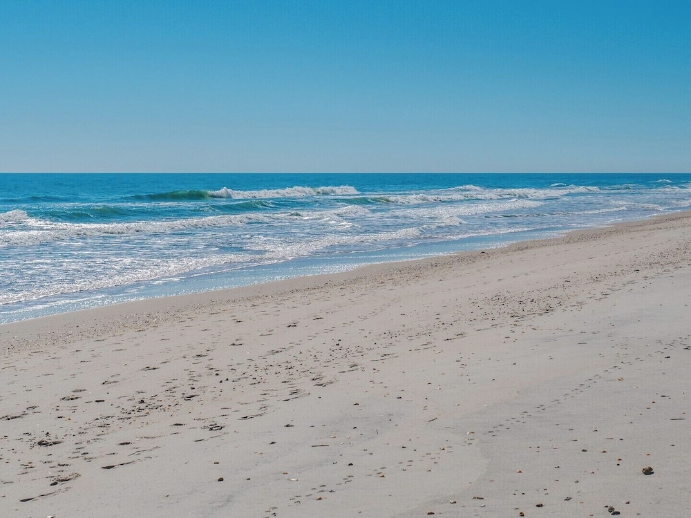 The Shark and the Seahorse by Topsail Realty