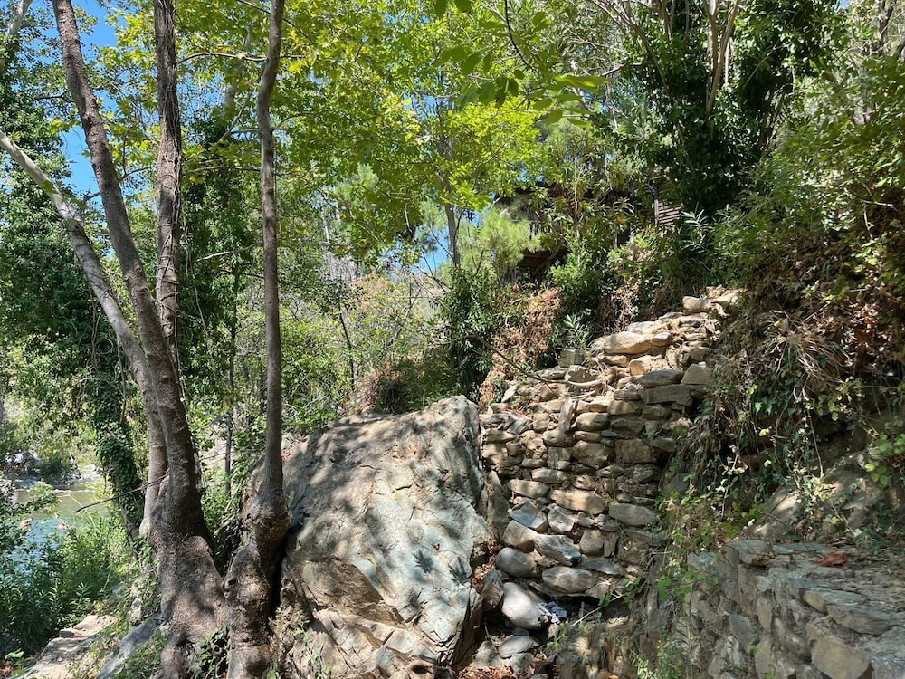 Kybele Nature Life