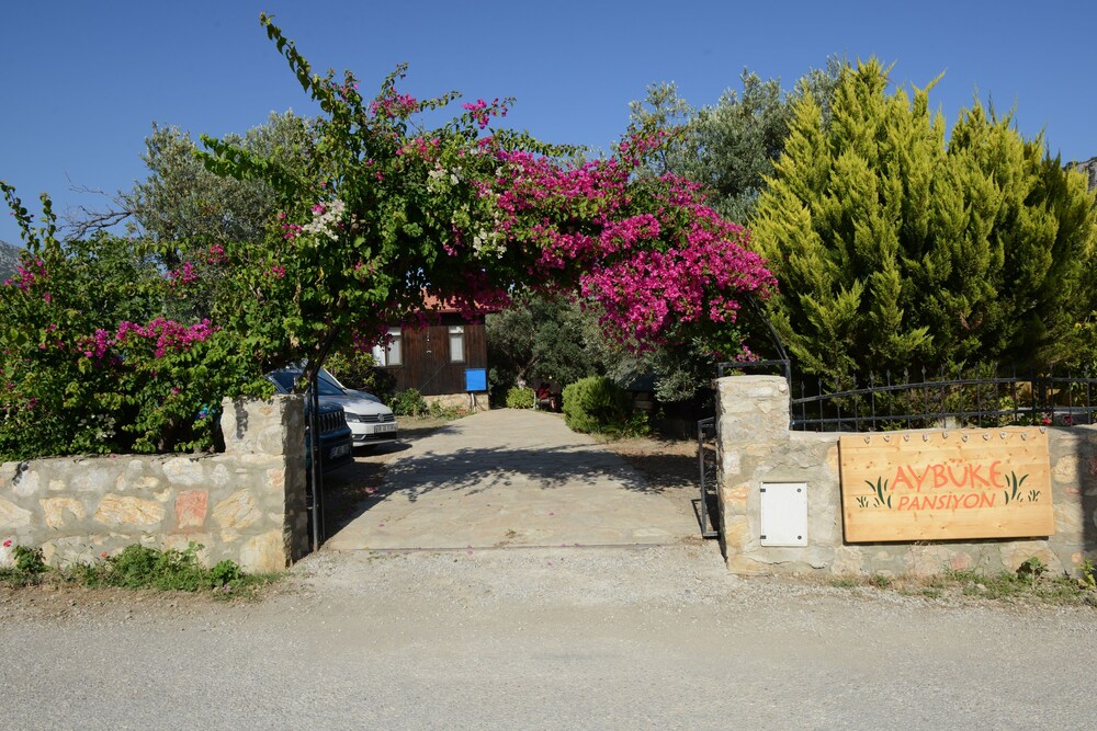 Photo 22