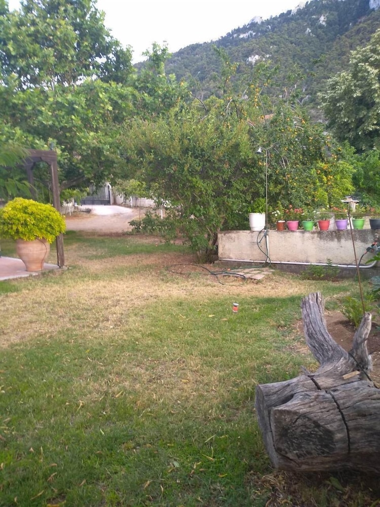 Photo 38
