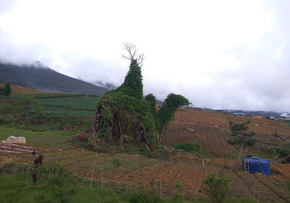 Mesilau Mountain Retreats