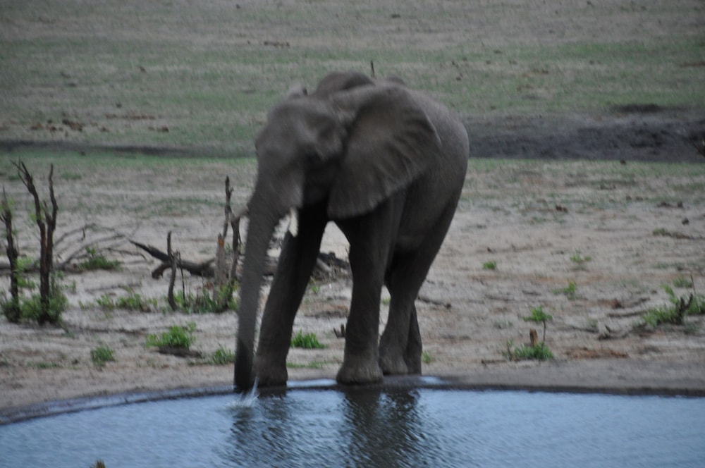 Chamabondo Tented Camp