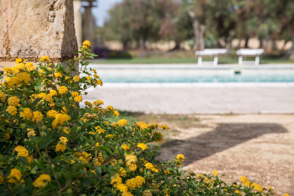 Masseria Saietti