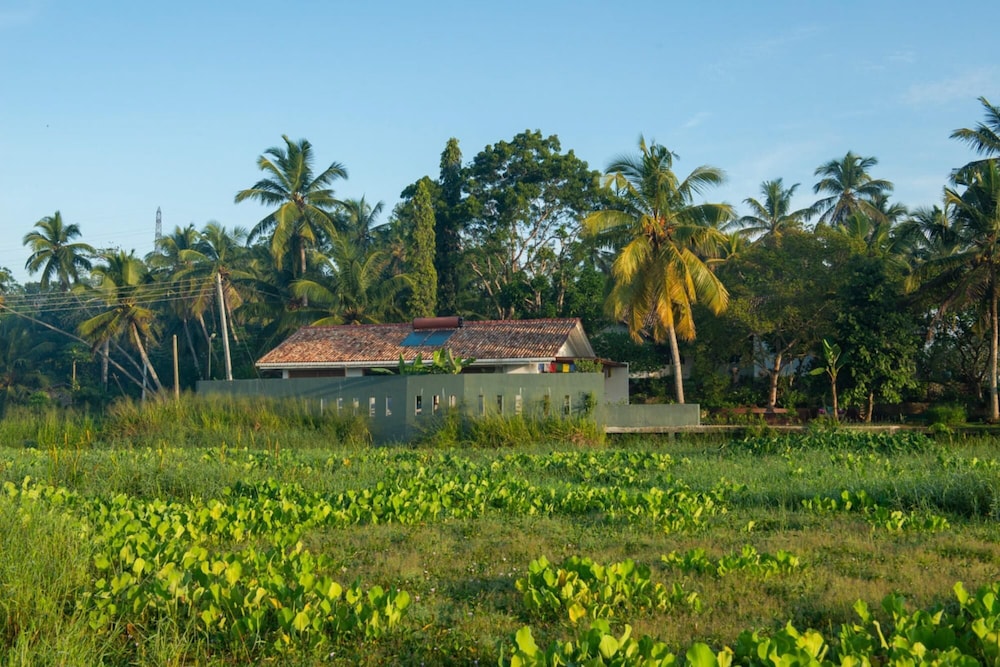 Romantic Honeymoon Villa Overlooking Rice Fields view 4