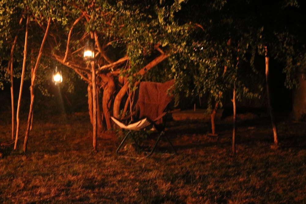 Dev's Campground