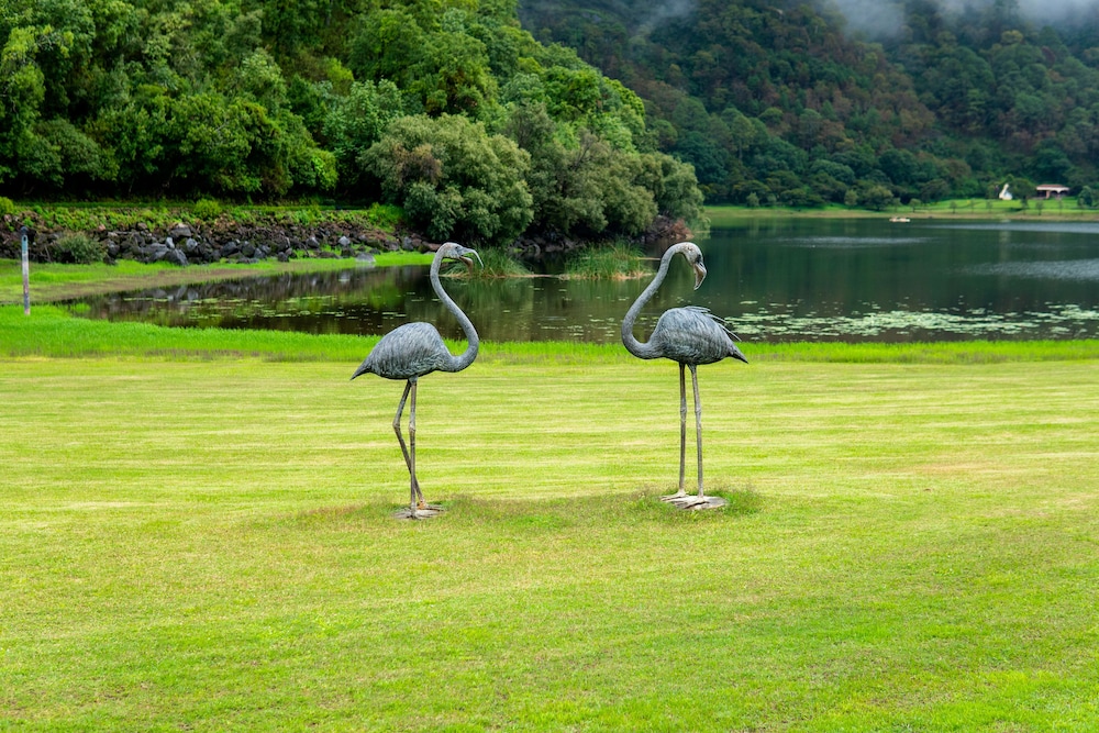 Sierra Lago Resort  Spa - All inclusive - Property Image 68