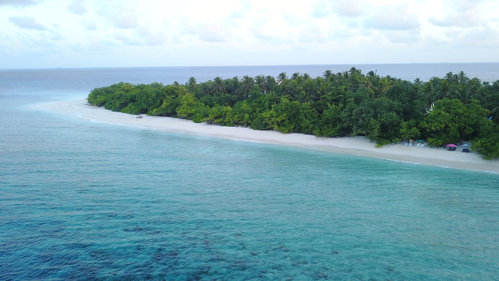 Beach Veli