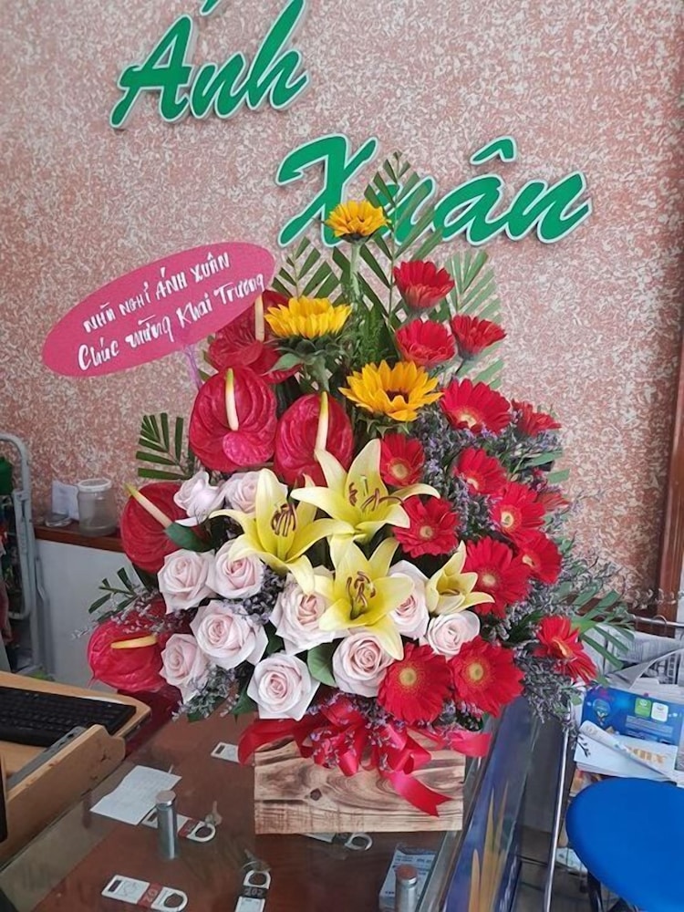 Anh Xuan Guesthouse