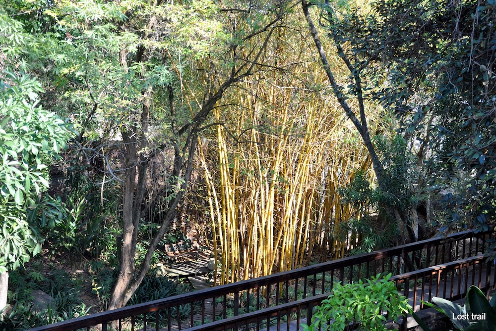 Lost Trail Bed and Breakfast