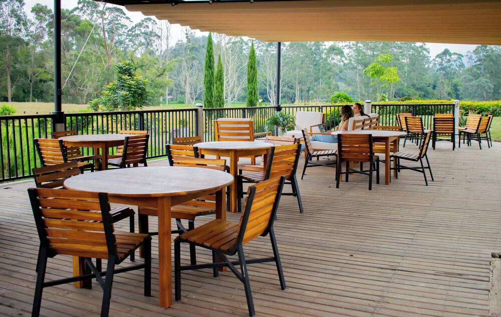 Monarch Campestre