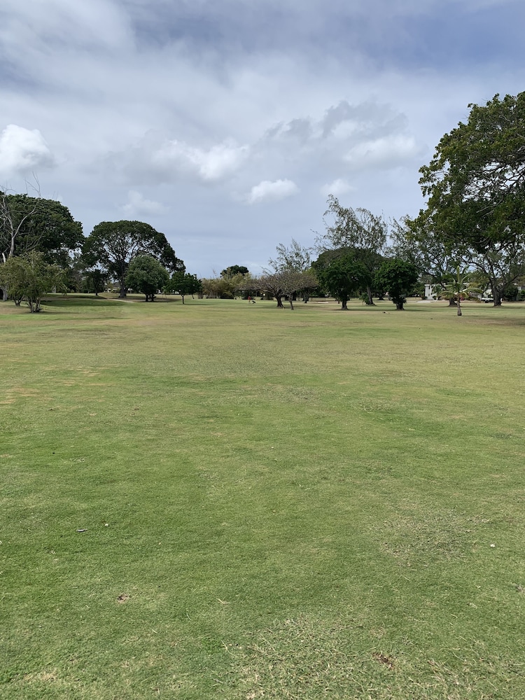 Moonshine 316 Rockley Golf Club