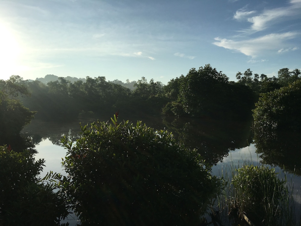 KAJU GREEN eco lodges