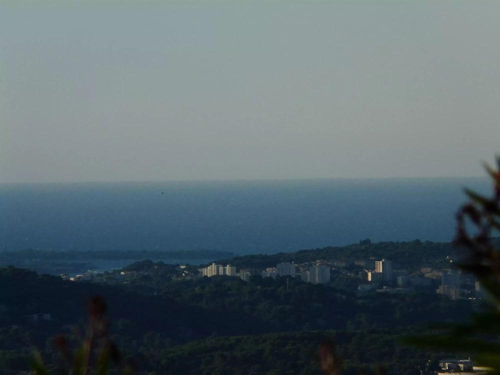 Les Palmiers Grasse view 4