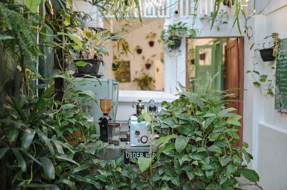 Snooze Guesthouse Yogyakarta - Hostel, Yogyakarta - 16
