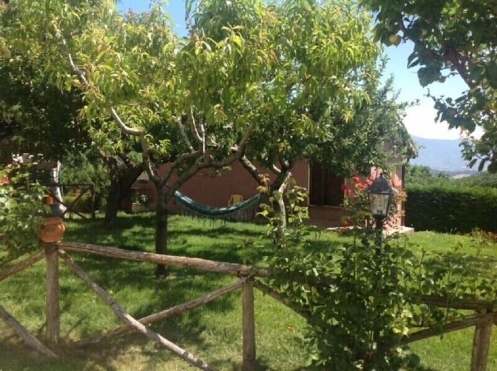 Photo 43