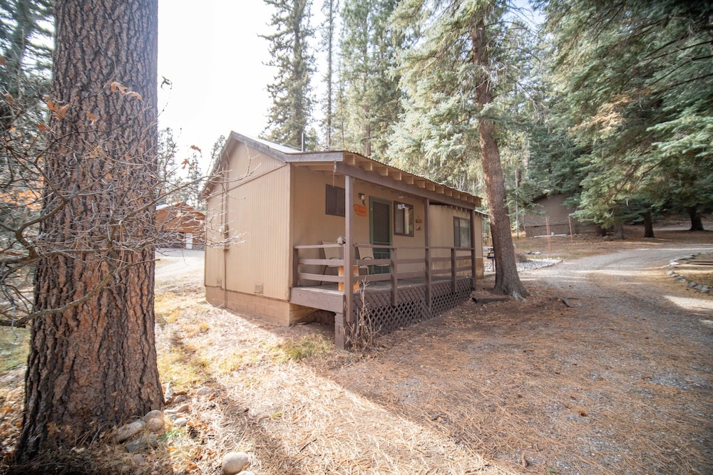 Bear Paw Lodge