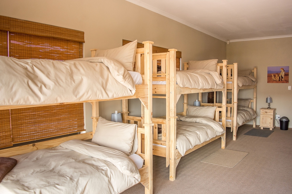 Sea View Backpackers - Hostel