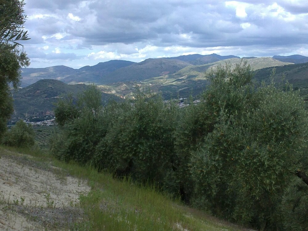 Hospederia Locubin
