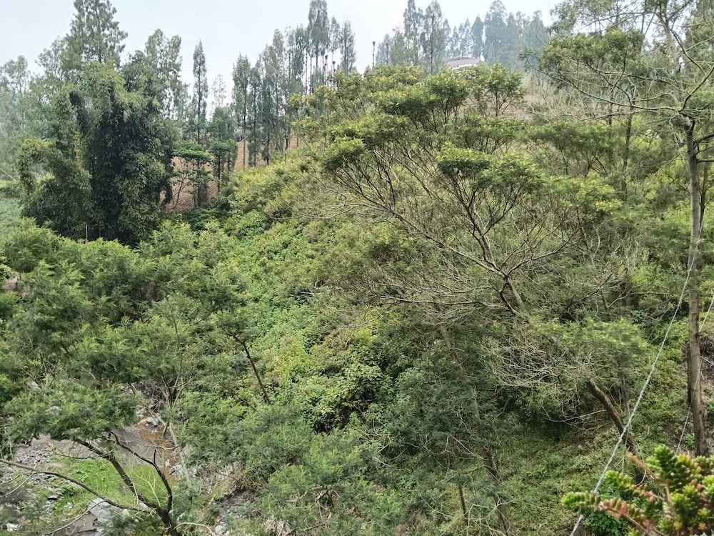 Dua Puteri Homestay Bromo