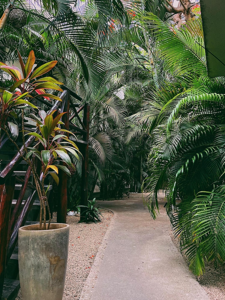 Pacha Tulum Boutique Hotel