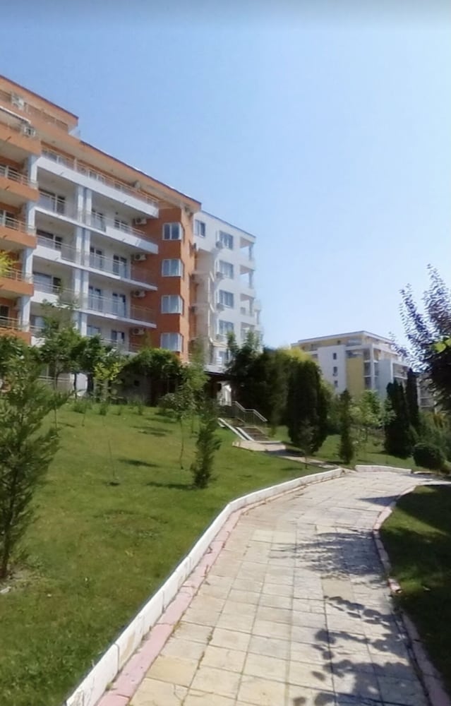 Photo 11