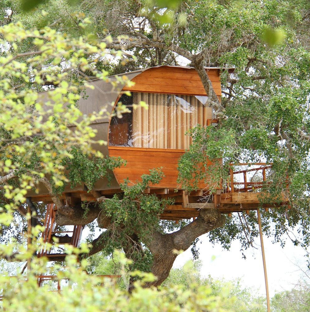 Leopard Nest in Yala