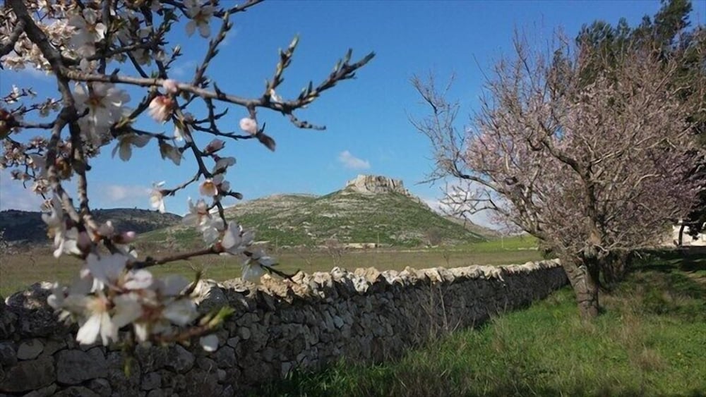 Photo 27