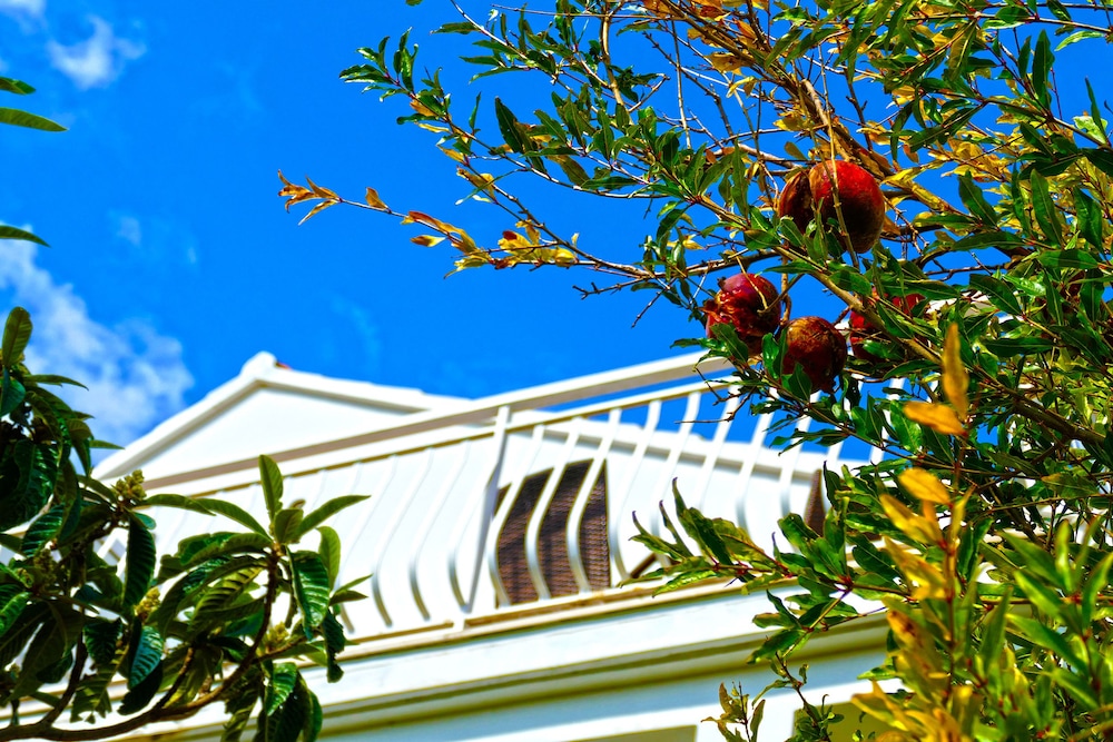 Apartments Martinovic