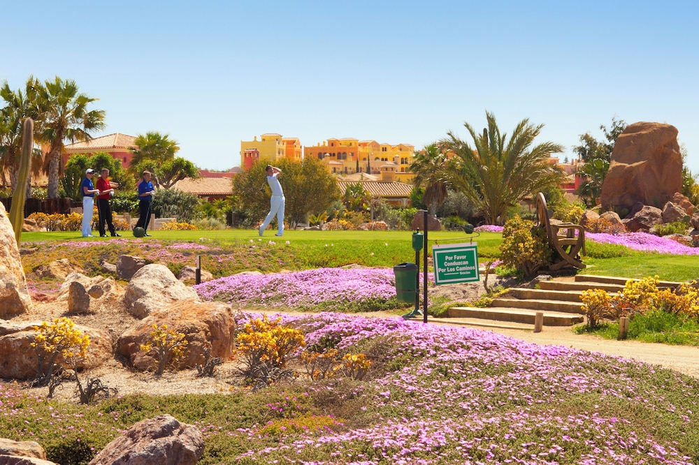Desert Springs Resort