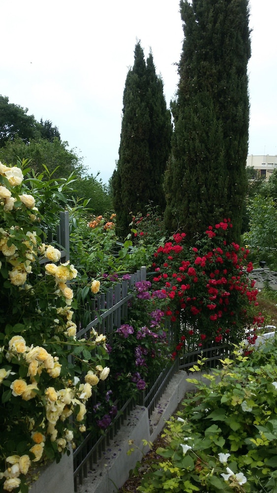 Villa Sequoia