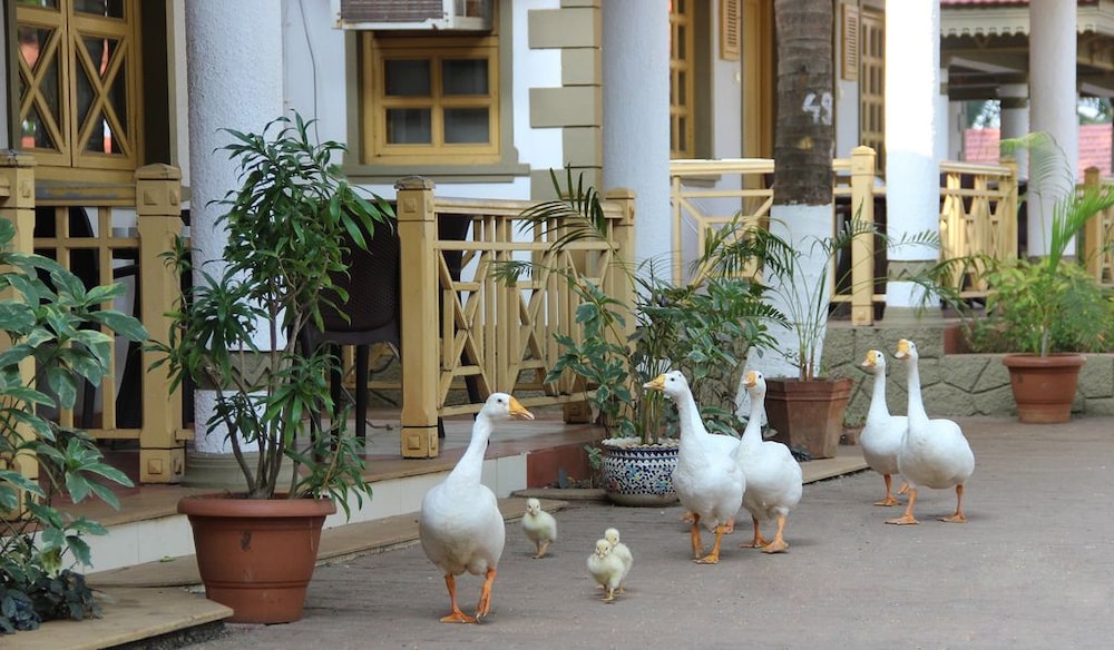 Golden Swan Beach Resort