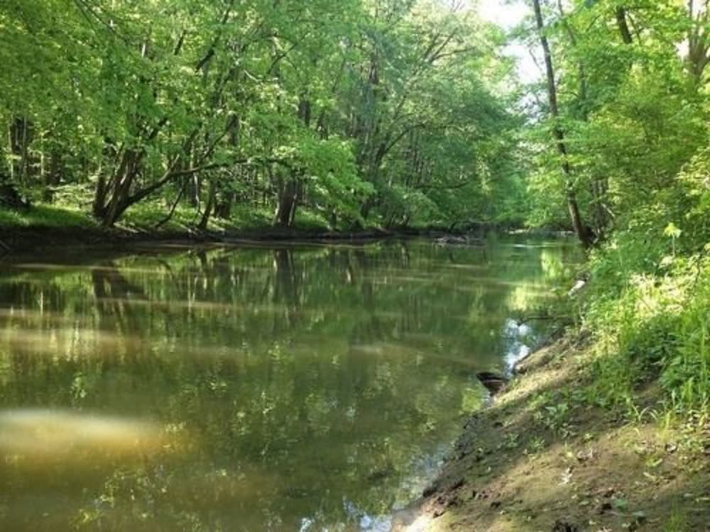 Goldberry Woods