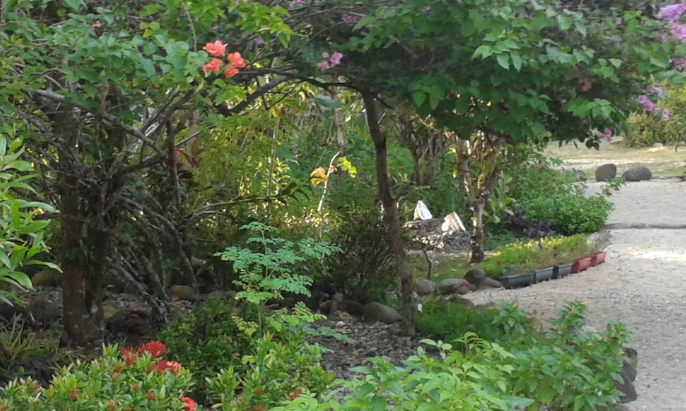 Hambilica Ecolodge
