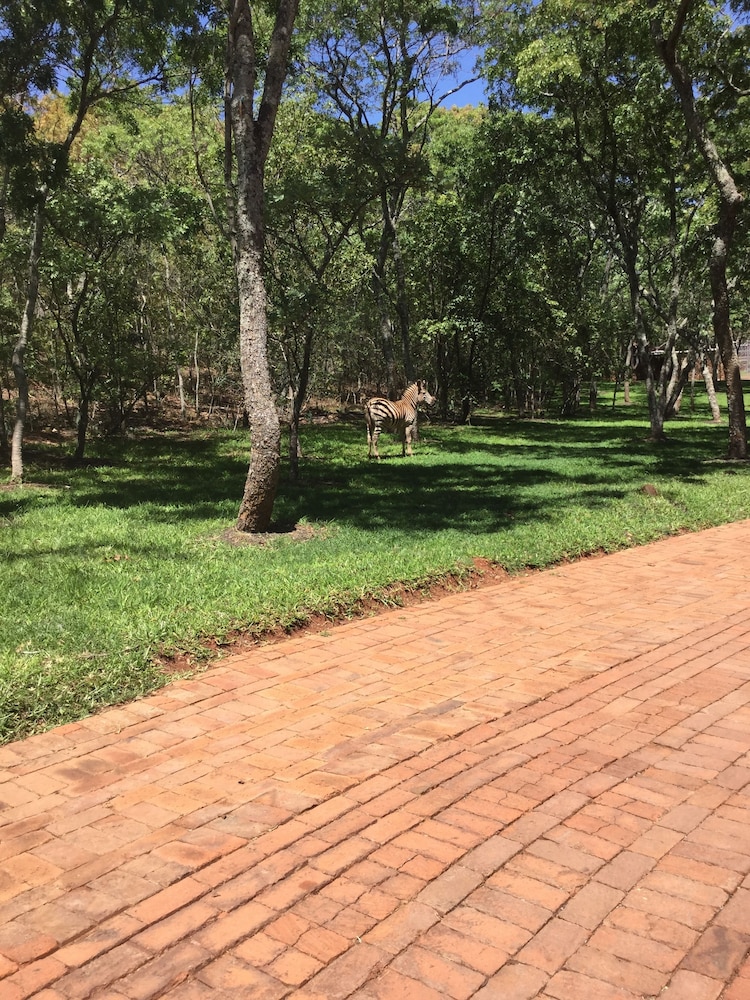Manna Resorts