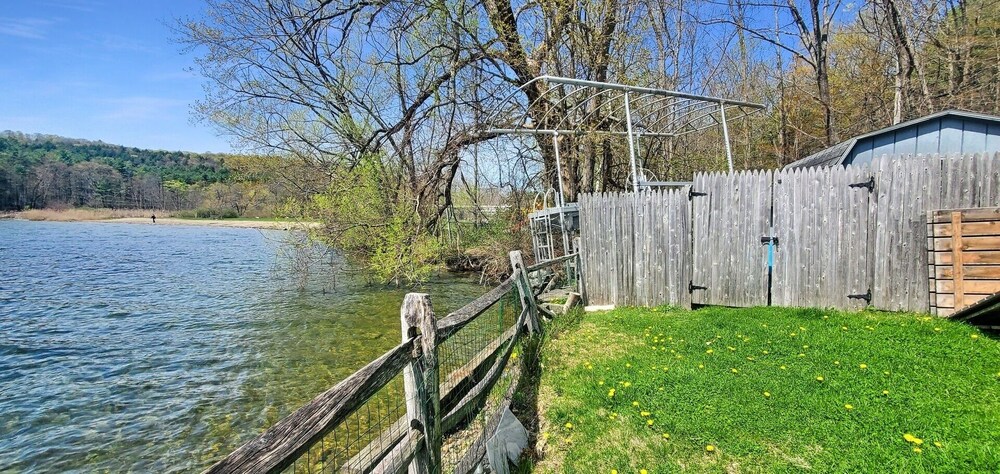 Photo 42