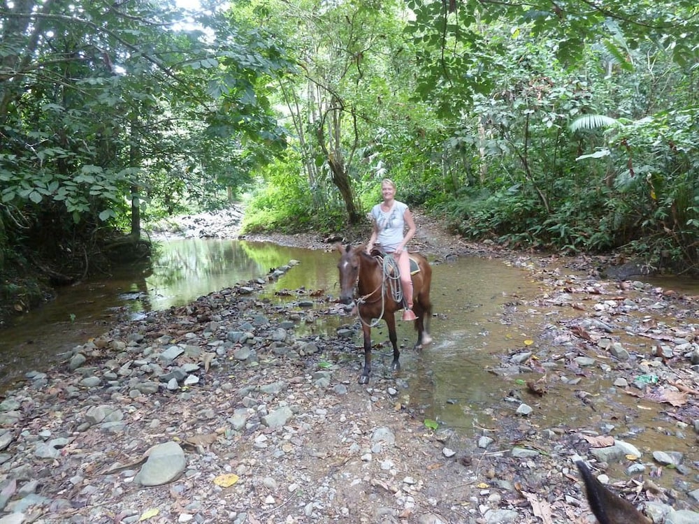 Finca El Regalo