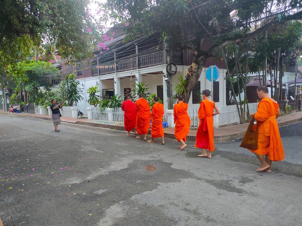 Photo 47
