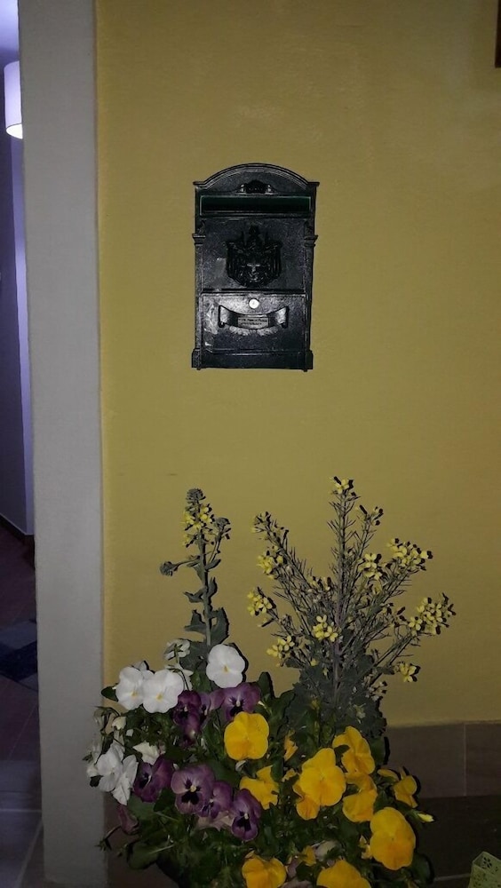 Photo 43
