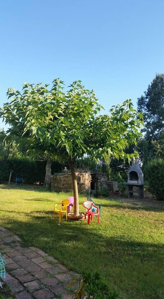 Photo 46