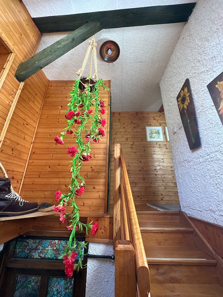 Apartma Pohar- A Bit Different! view 3